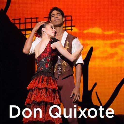 Don Quixote - Ballet