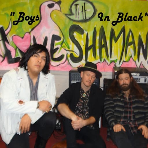 The Love Shamans