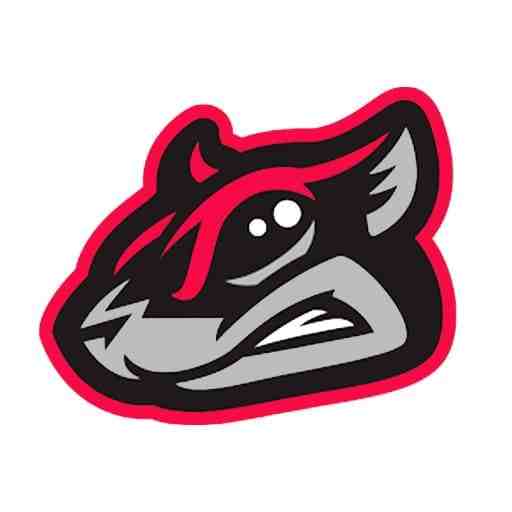 Richmond Flying Squirrels