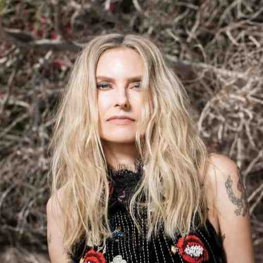 The Aimee Mann & Ted Leo Christmas Show